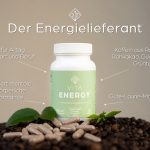 lavavitae_lutsch_vita-energy-info-de
